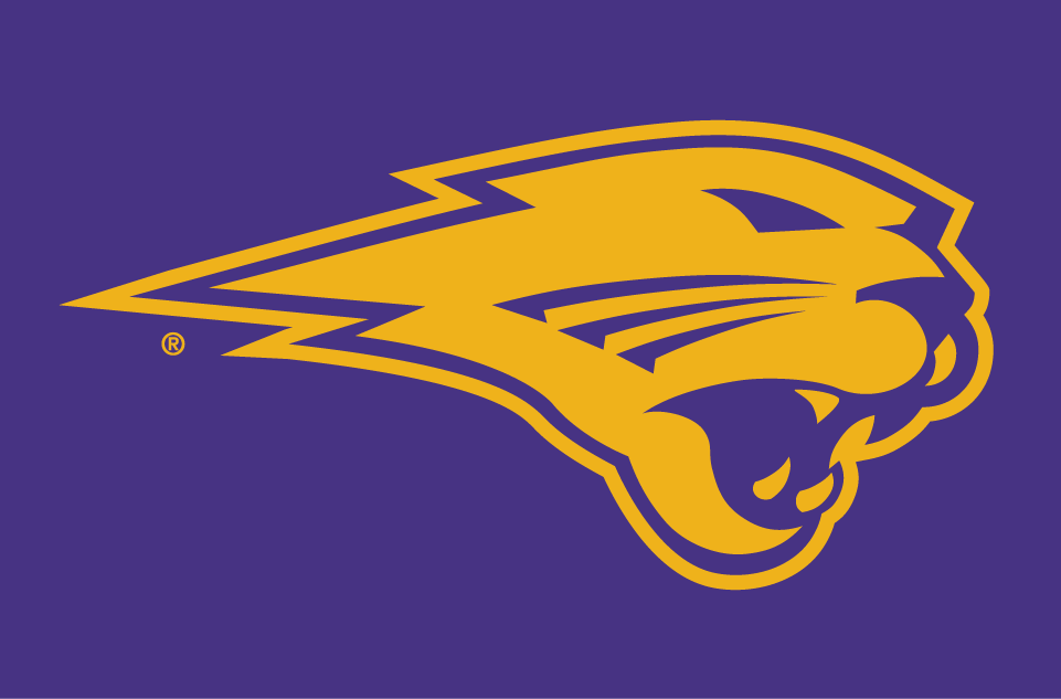 Northern Iowa Panthers 2002-Pres Partial Logo v3 iron on transfers for fabric